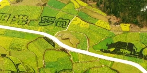 土地的涅槃｜全域土地綜合整治為何爆火？設計院如何搶占風口？